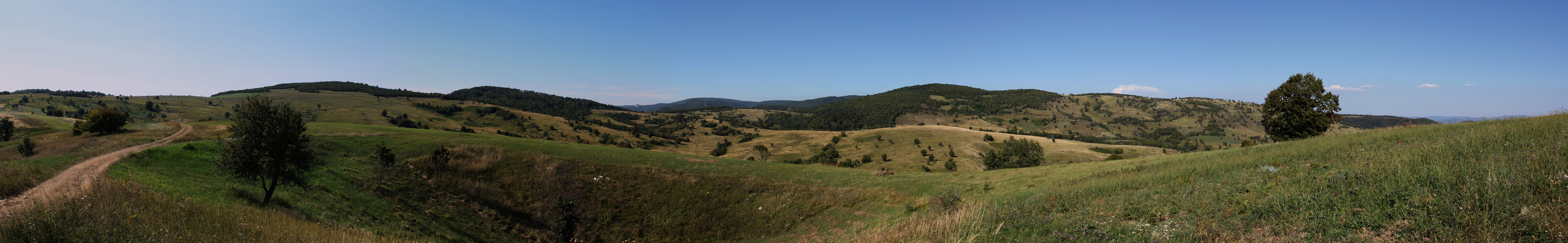 Panorama 6.JPG